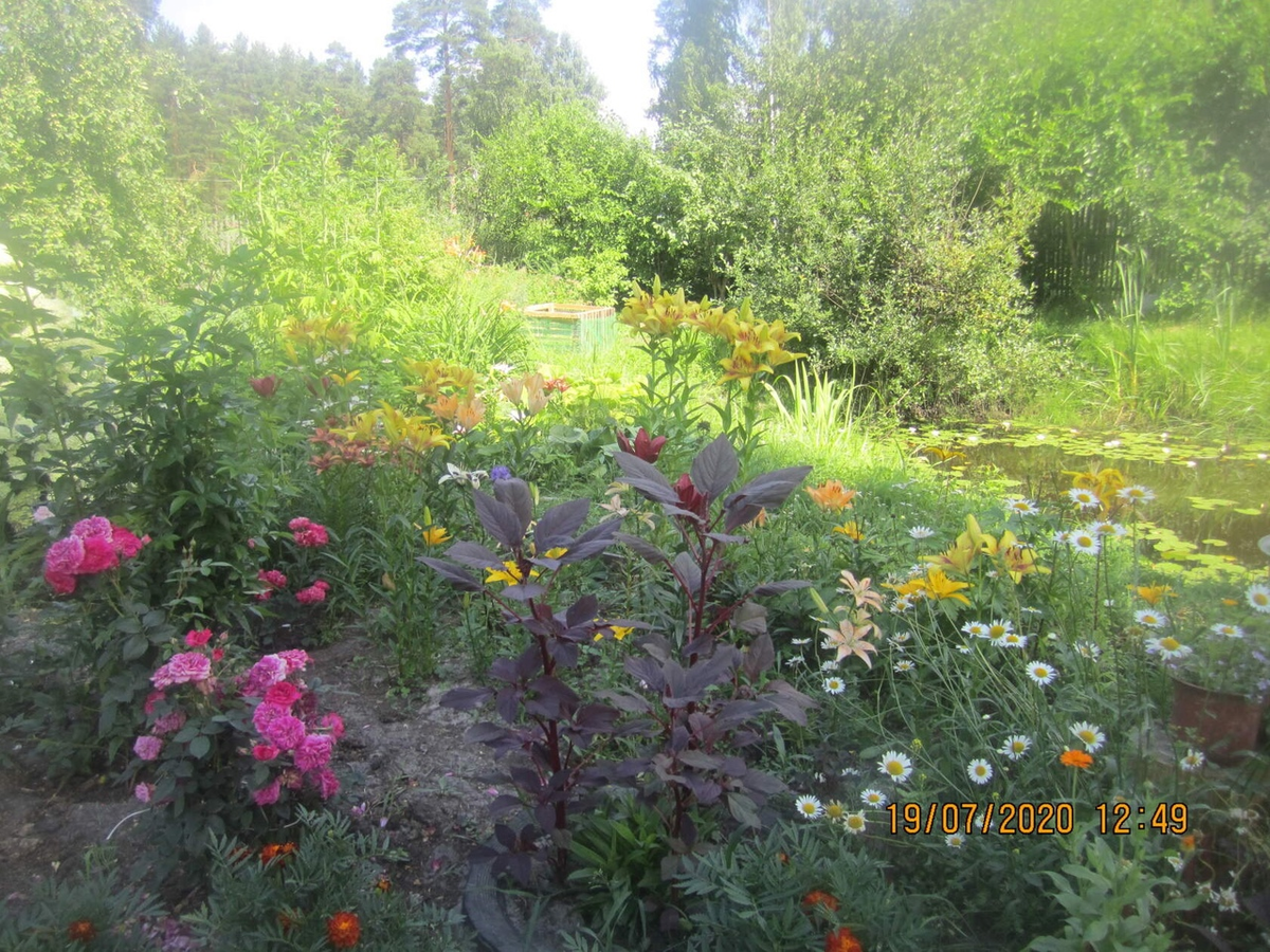 Личный архивЛичный ар