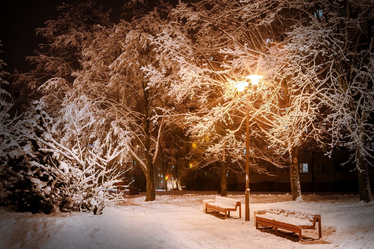 Яндекс. Картинки
