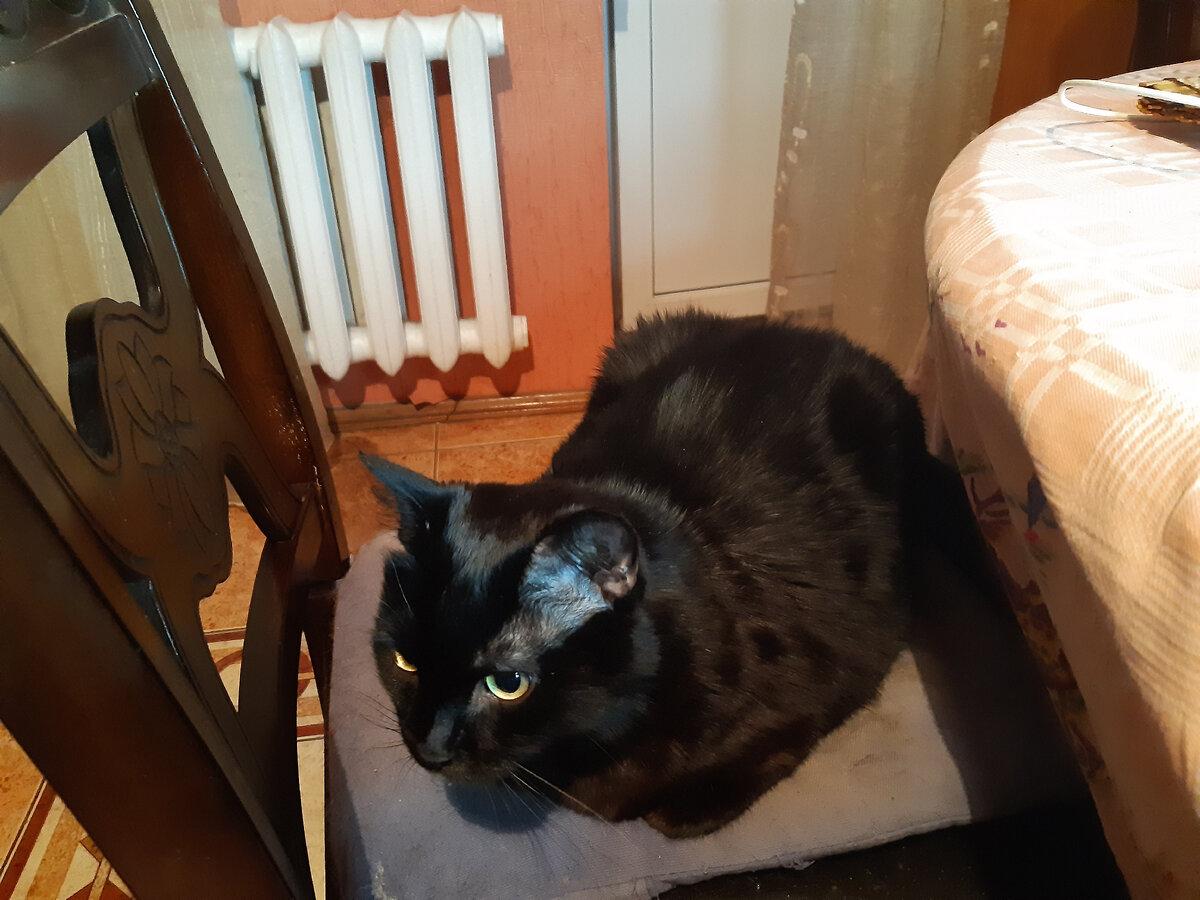 Боня на посту