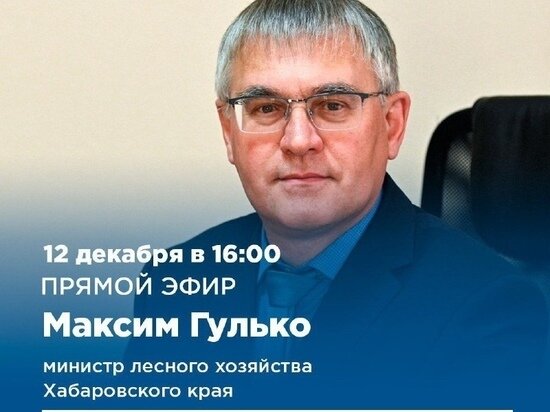     Министр лесного хозяйства Хабаровского края проведет прямой эфир ФОТО: правительство Хабаровского края