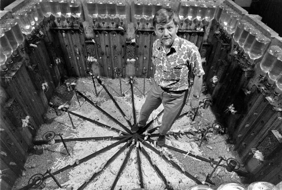 Джон Кэлхун "в загоне"