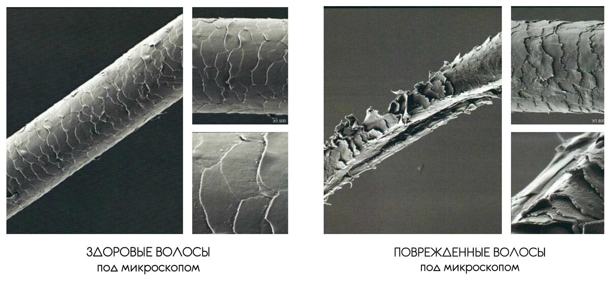 Открытый источник