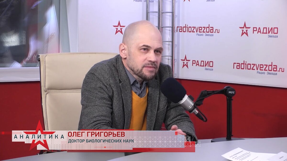 Олег Григорьев, доктор биологических наук, председатель Российского комитета защиты от неионизирующих излучений на радио ЗВЕЗДА в программе "Стратегия национальной безопасности" с Анной Шафран.
