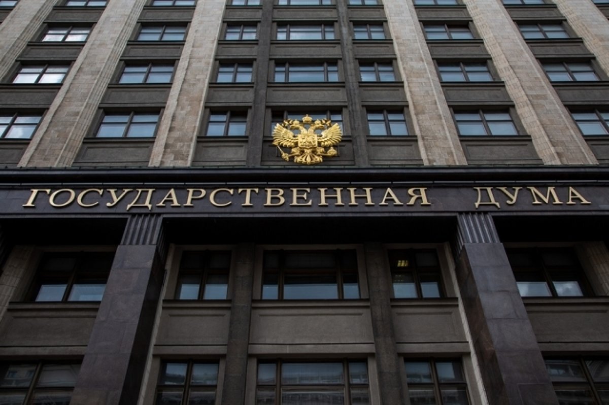    ГД приняла закон о штрафах за неверные данные о критической инфраструктуре