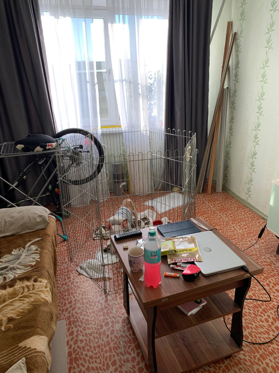 А еще вольер теперь мотыляется по всей комнате😂