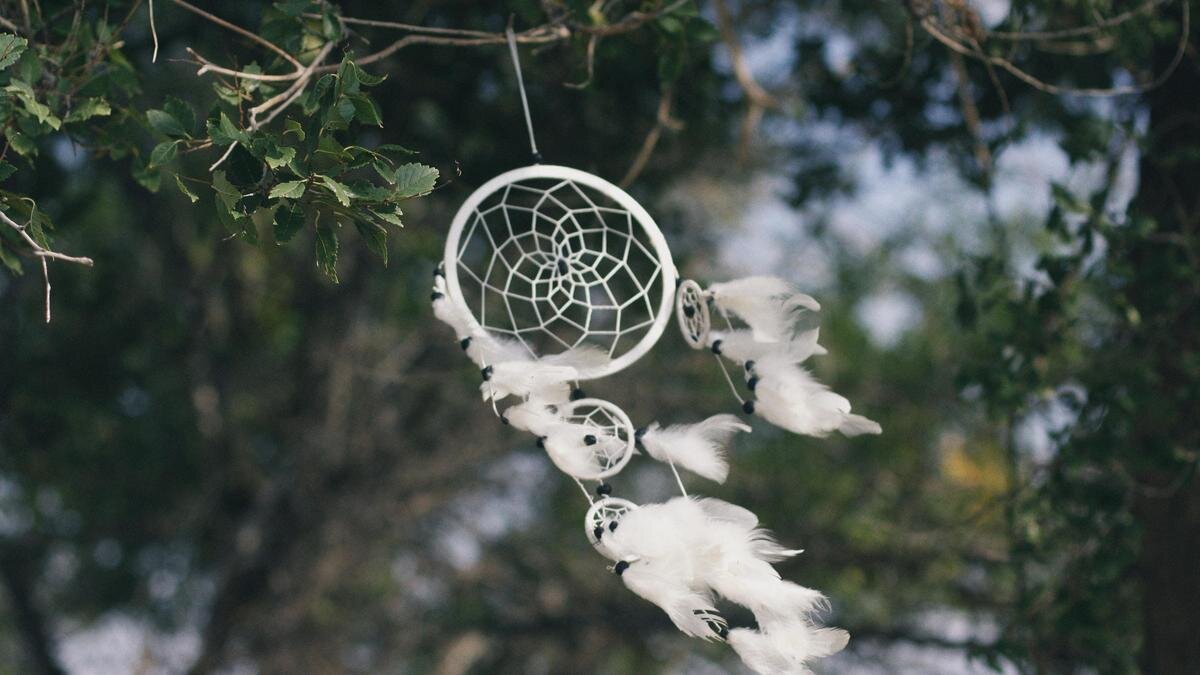    Ловец снов на ветке дерева:Unsplash/Nazym Jumadilova