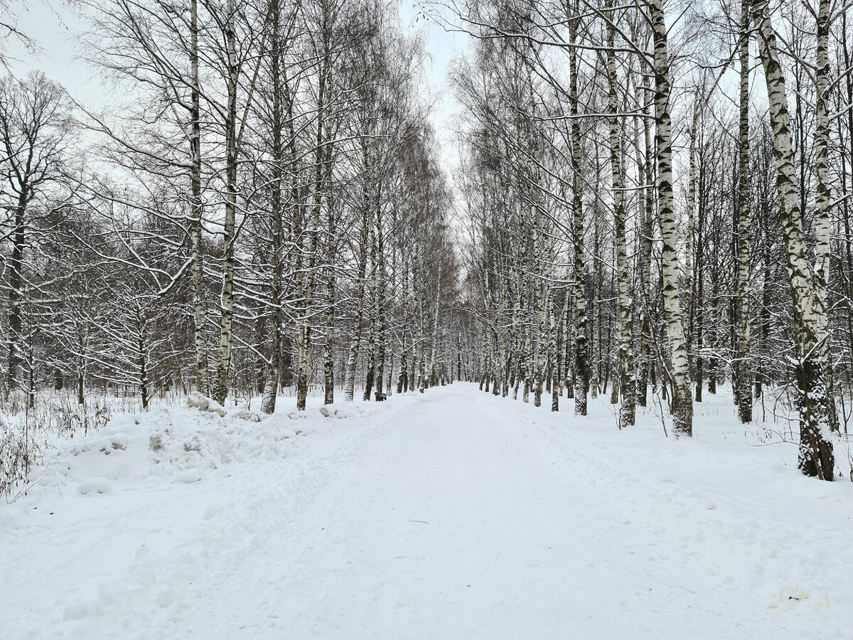 Марафон в Терлецком парке