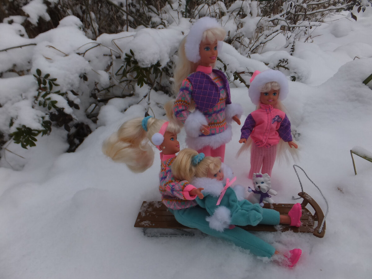 Прогулка с сёстрами из набора Barbie Winter Holiday | Коллекция кукол | Дзен