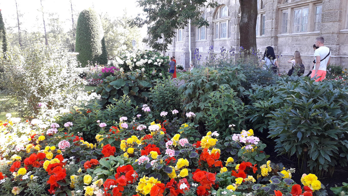 Залитый солнцем сад Камеруновой галереи в Царском селе и сияющие цветы бегонии. Фото автора.