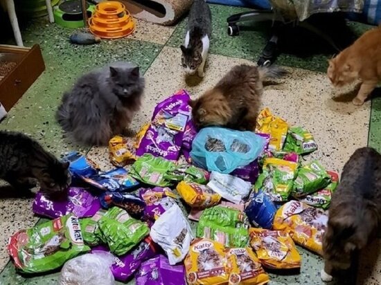     Фото: Дмитрия Денисова