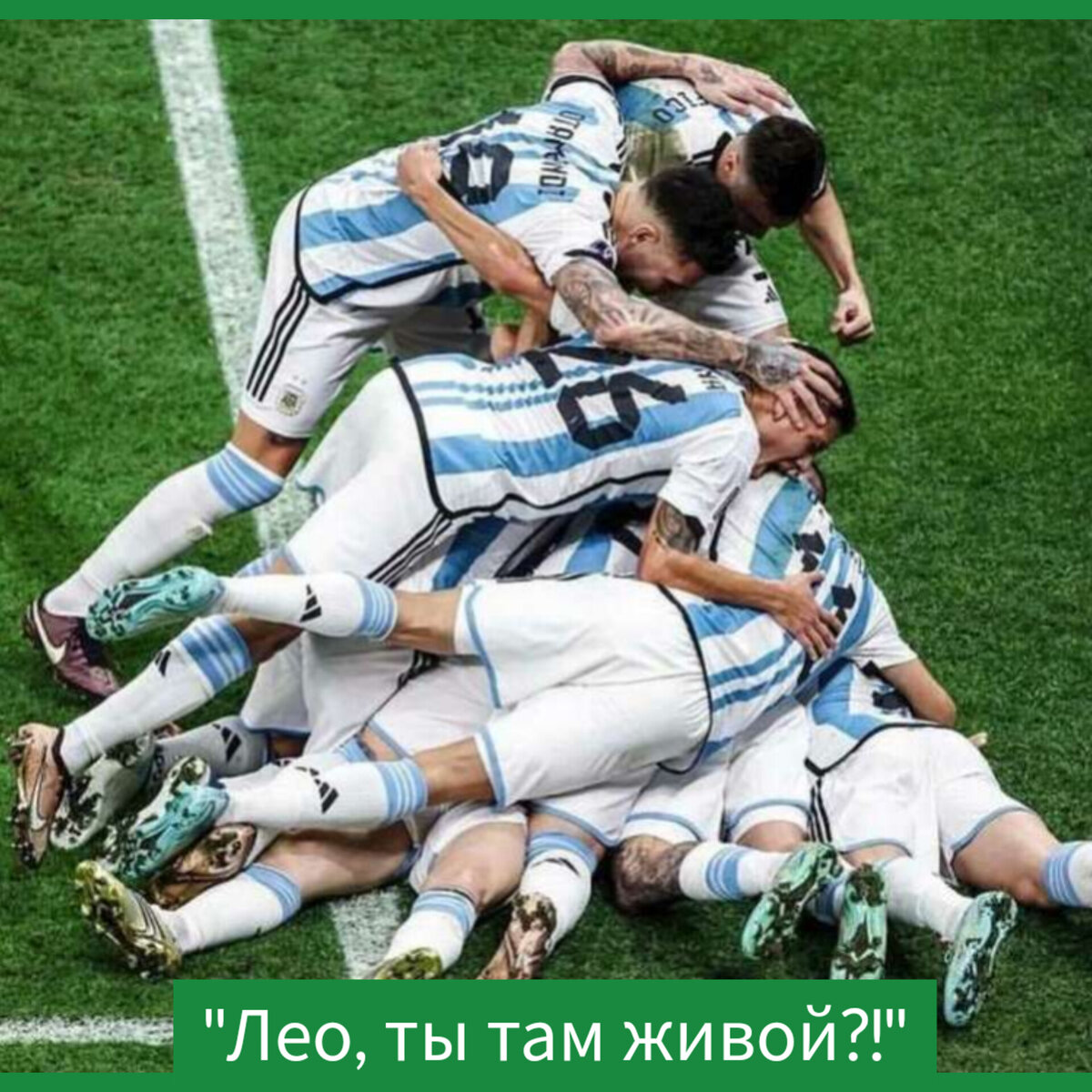 Фото в редакции автора