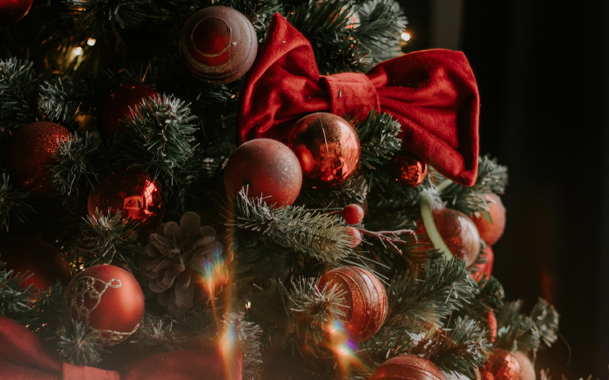 Photo by Alsu Vershinina on Unsplash