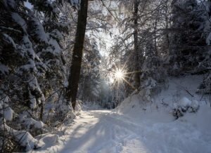    Фото: unsplash.com / Samuel Svec Антон Коваль