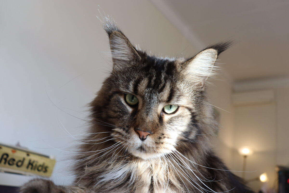 Фото из личного архива.