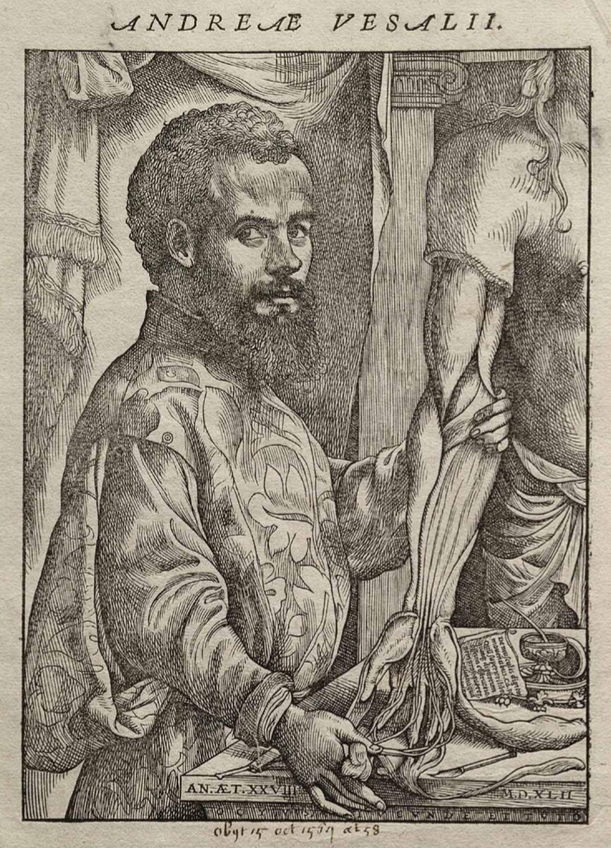 2 https://upload.wikimedia.org/wikipedia/commons/4/4e/Vesalius_Fabrica_portrait.jpg