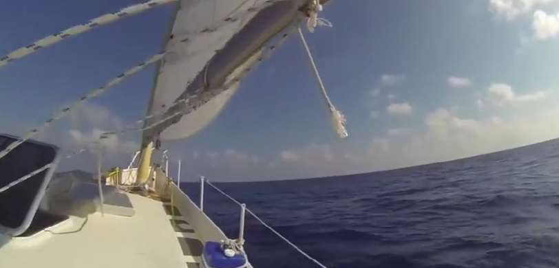 Youtube Ocean Research Project📷
