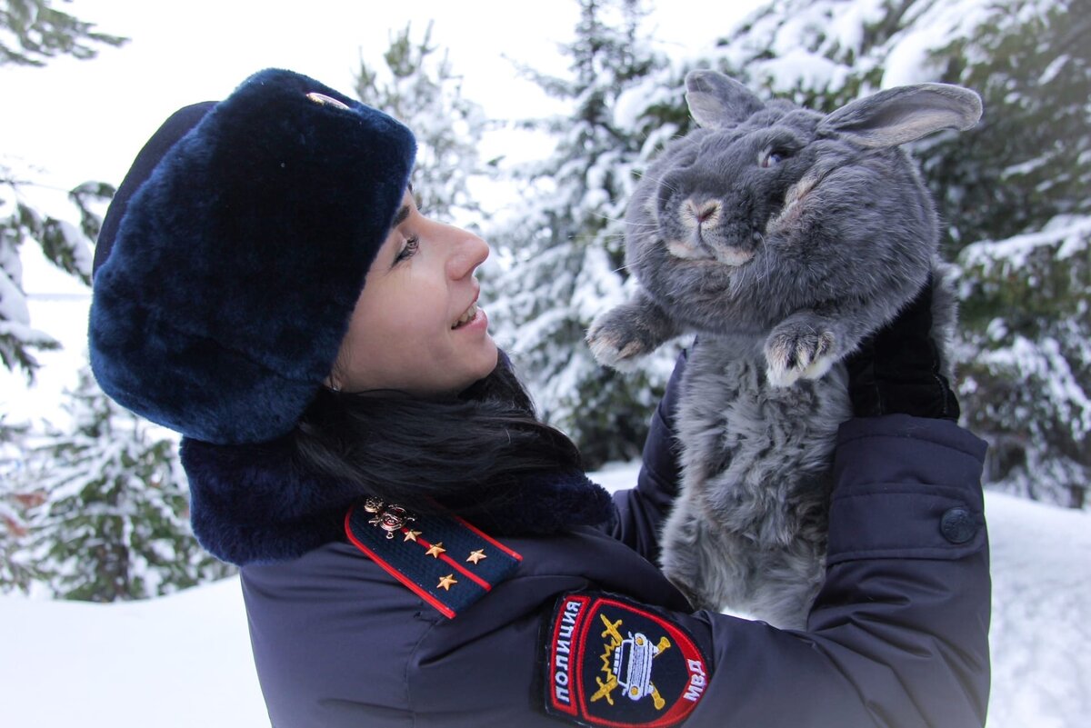    Полицейские Югры записали музыкальное поздравление с Новым годом