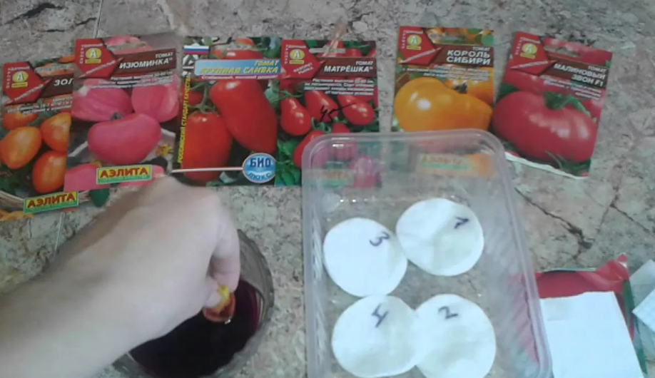 Фотография взята из источника semena-ural.ru