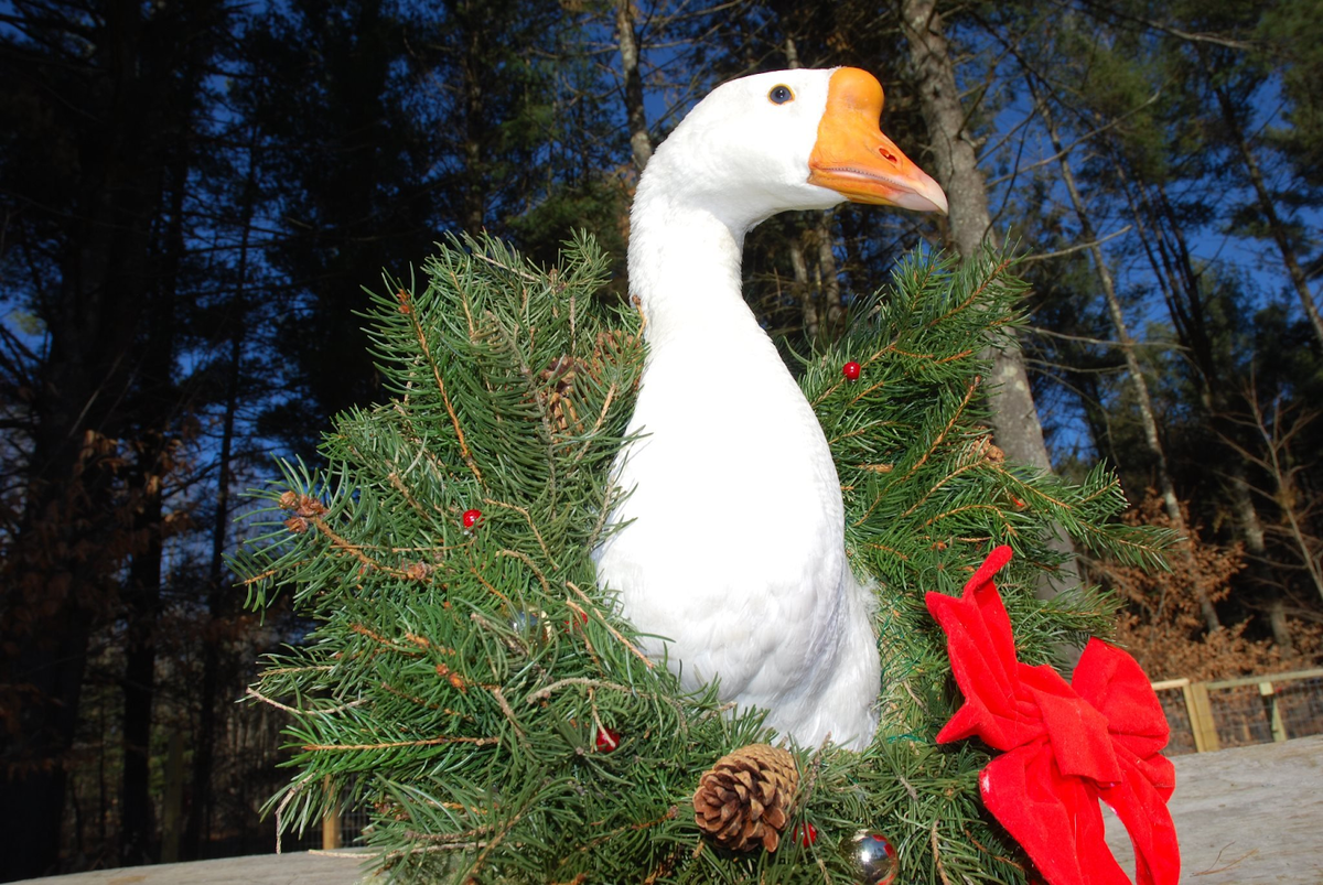 Источник: Яндекс.Картинки