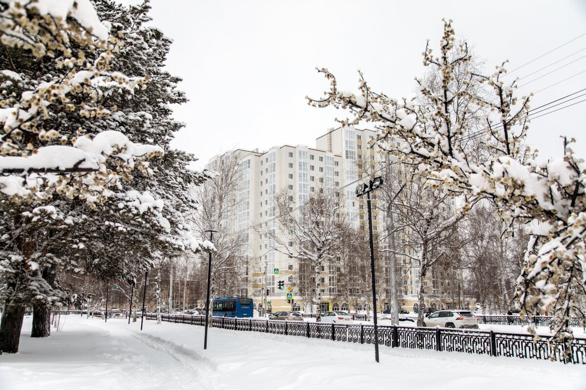    В Новый год в Югру придут морозы