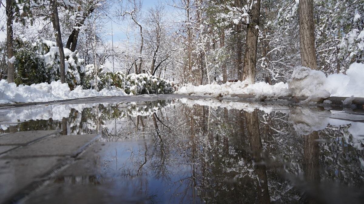    Снег тает на дороге:NUR.KZ/ Владимир Третьяков