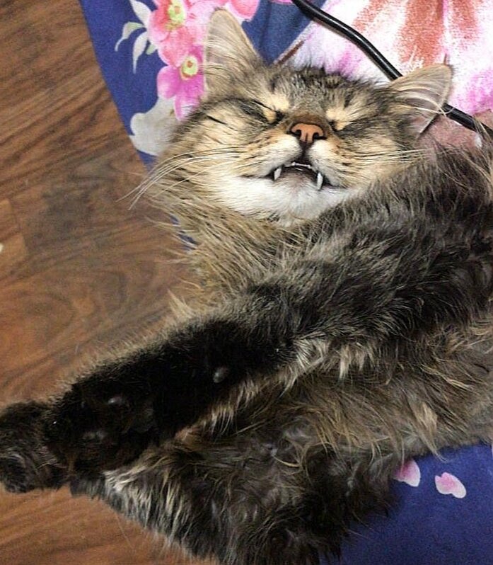 Фото принадлежит автору канала