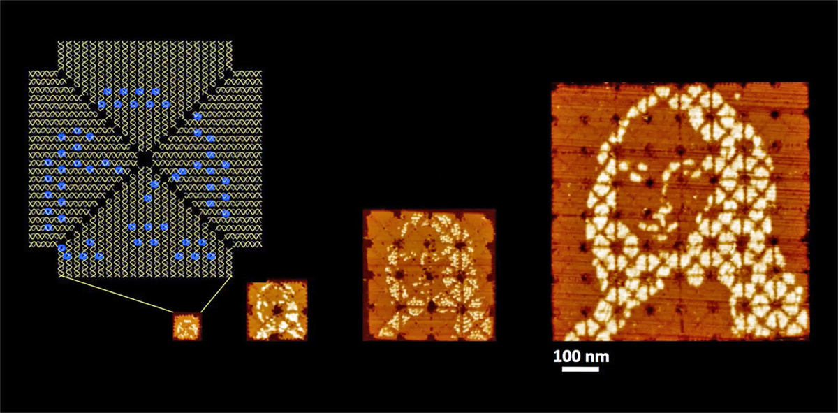  "Мона Лиза" из ДНК. Взято из engadget.com