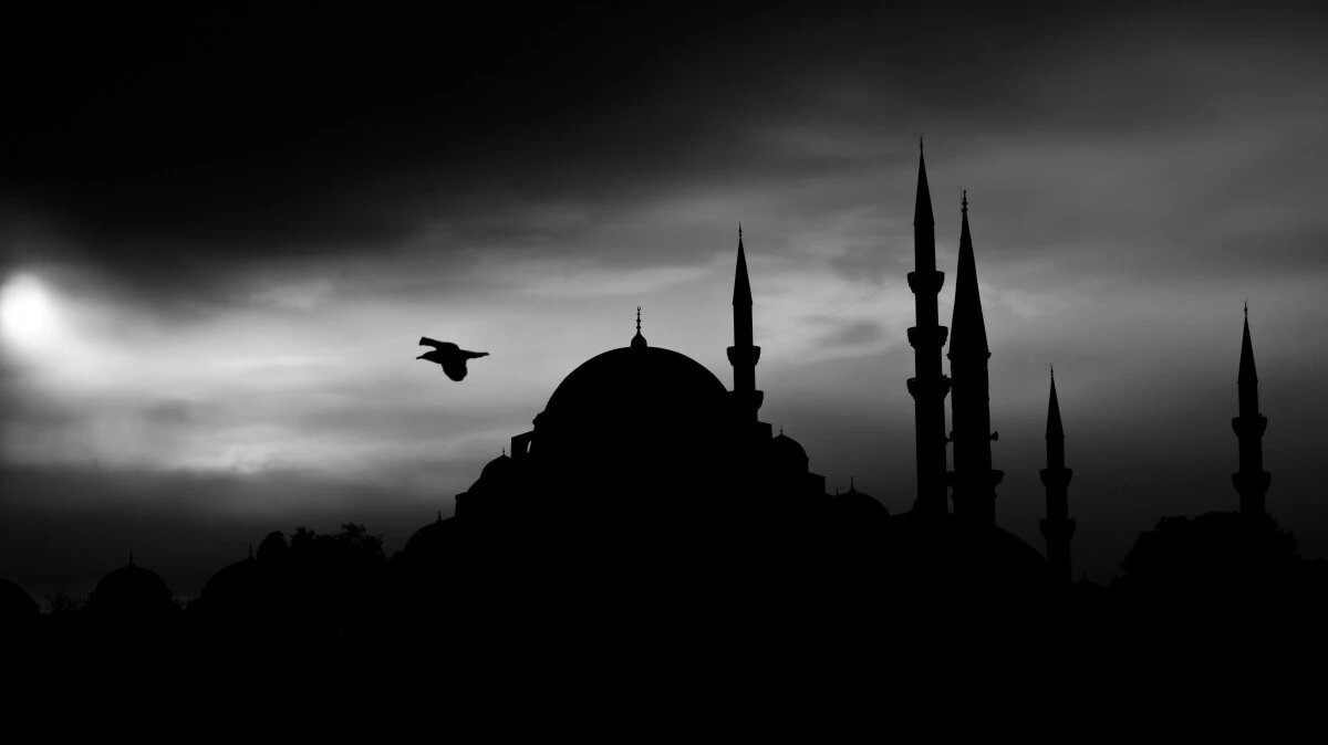 Фото: pxhere.com