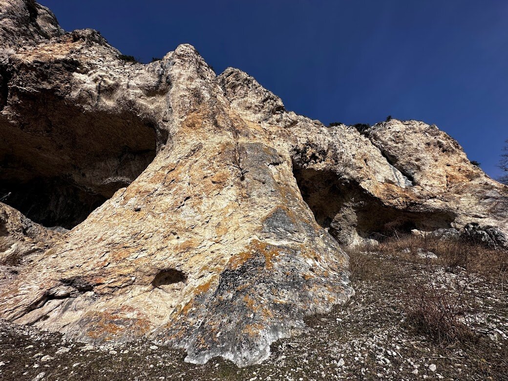 Вид с тропы 