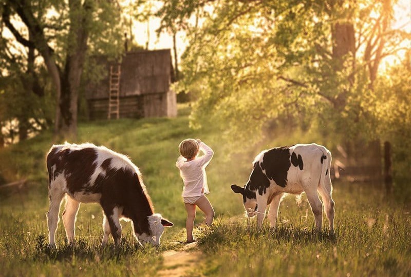 Сагыну, авыл ямэ.