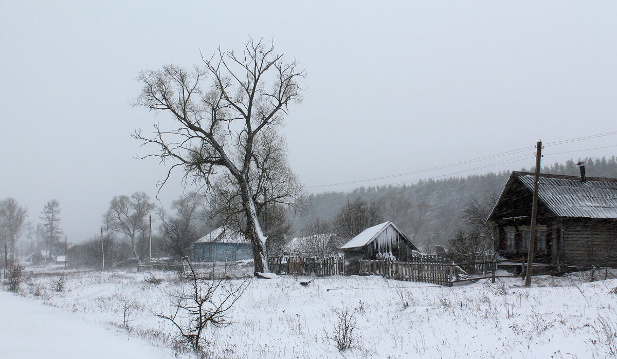 И это фото тоже на китовый объектив + камеру начального уровня.