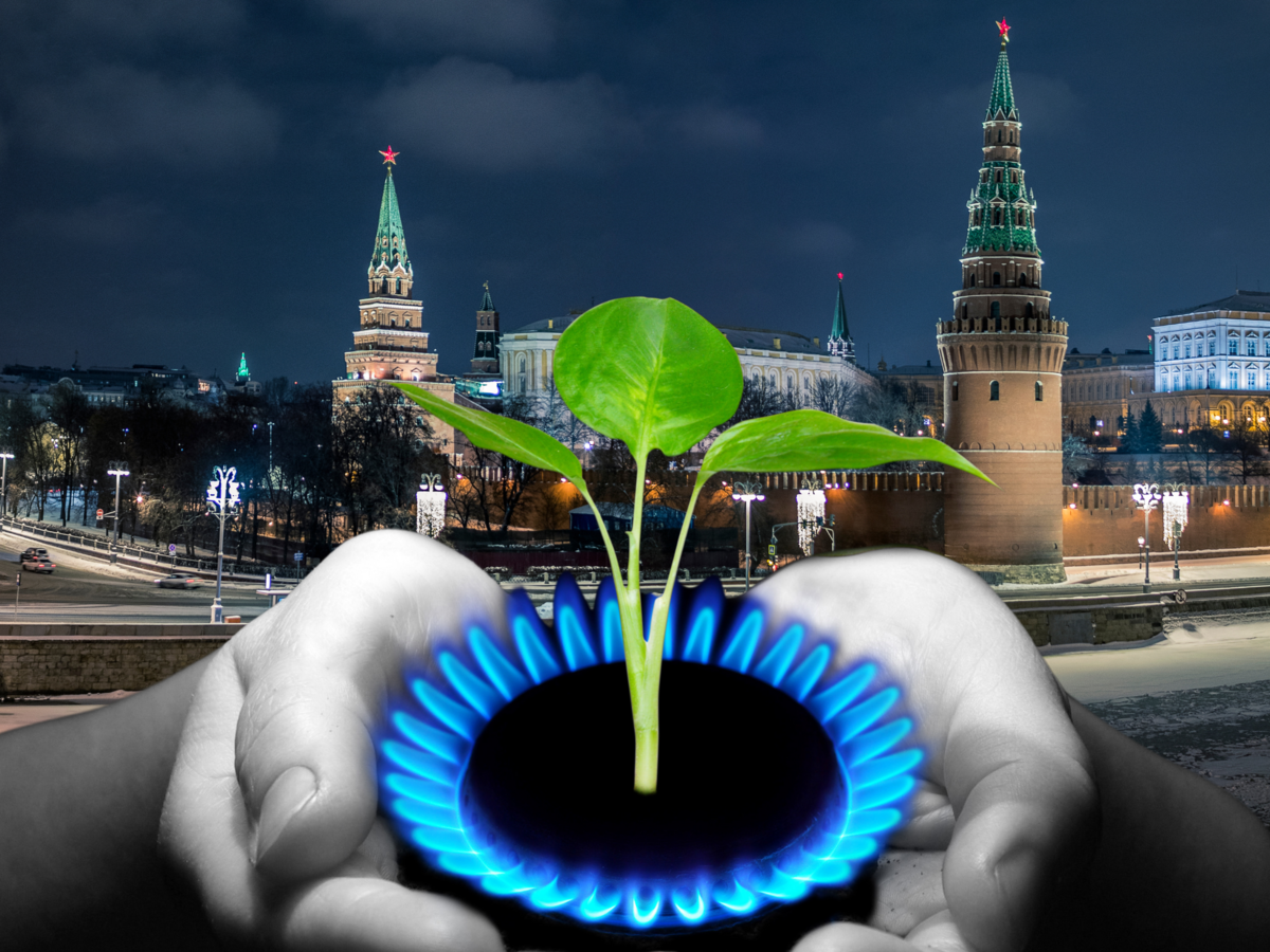 ЕС может обойтись без российского газа 9 месяцев