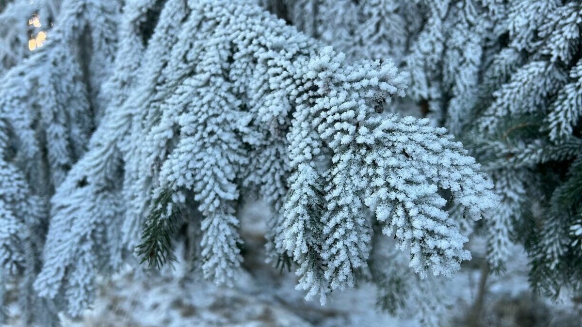     В республику придет еще более сильный мороз.