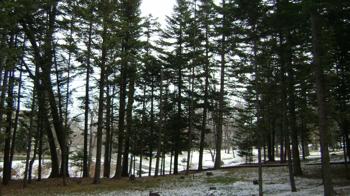     Специалисты «Примгидромета» озвучили прогноз погоды в Приморском крае на сегодня, 10 января. Ничего страшного не ожидается.