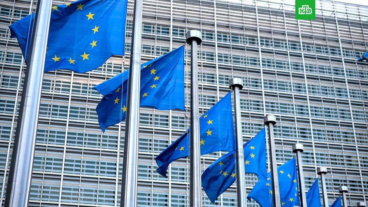    Фото: РИА Новости © 2023, Алексей Витвицкий