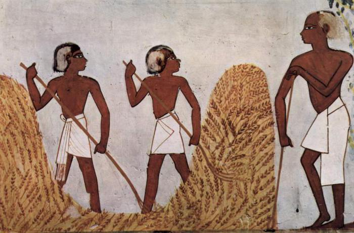 Изображение взято из открытого источника в сети интернет. Все права на изображение принадлежат его законному правообладателю. 