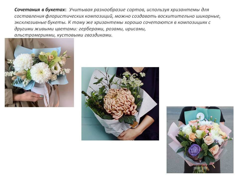 Фото из Презентации автора. Листайте галерею.
