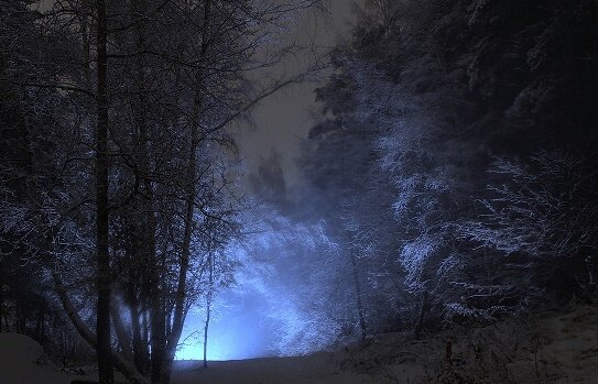 фото из свободного доступа.