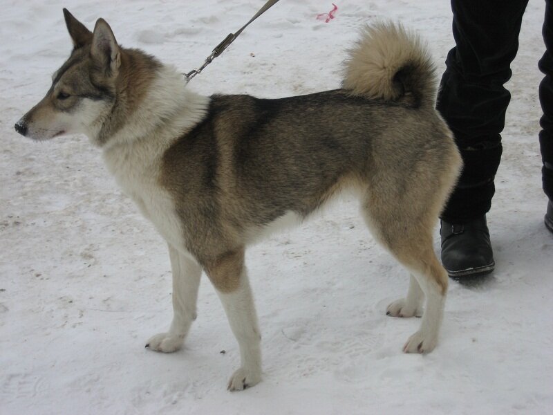 Кума В.В.Ануфриенко