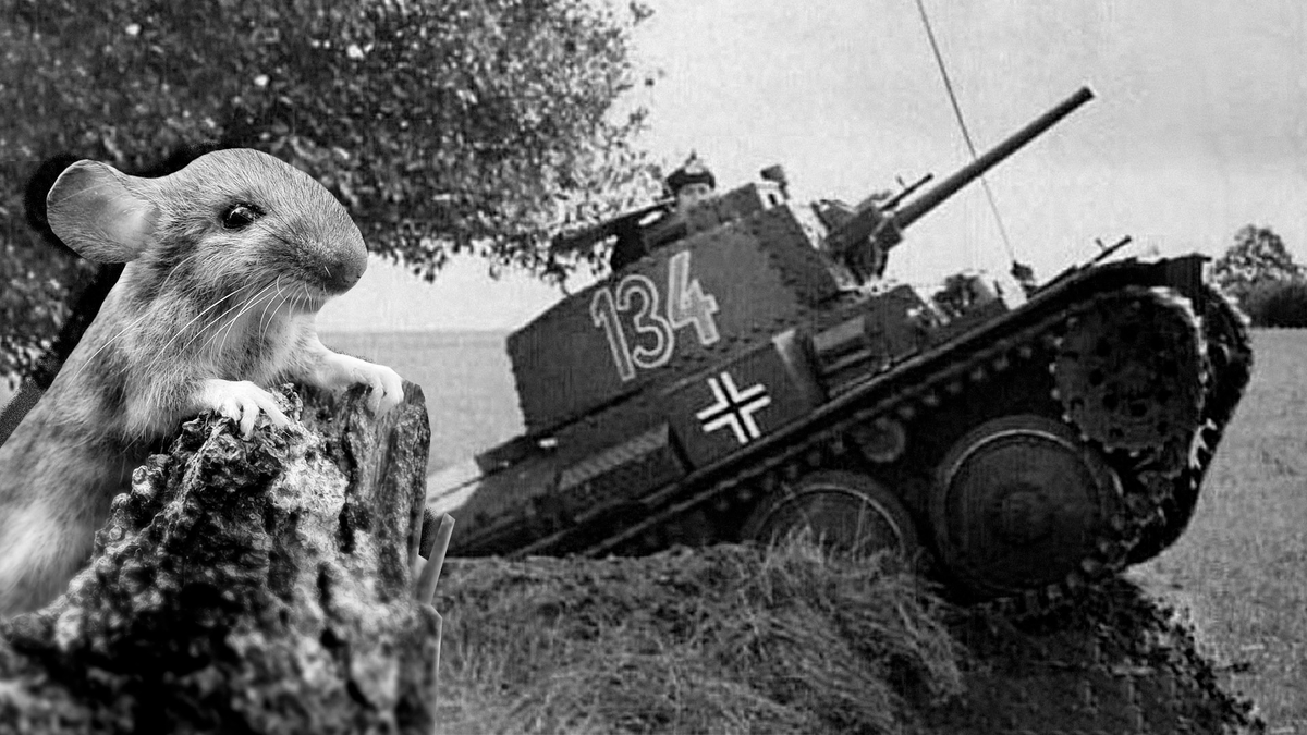 Мыши в ВОВ