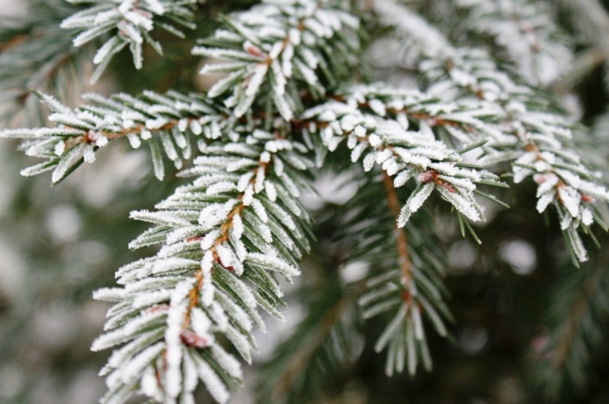    В посёлке Ессей Красноярского края температура упала до -73°С