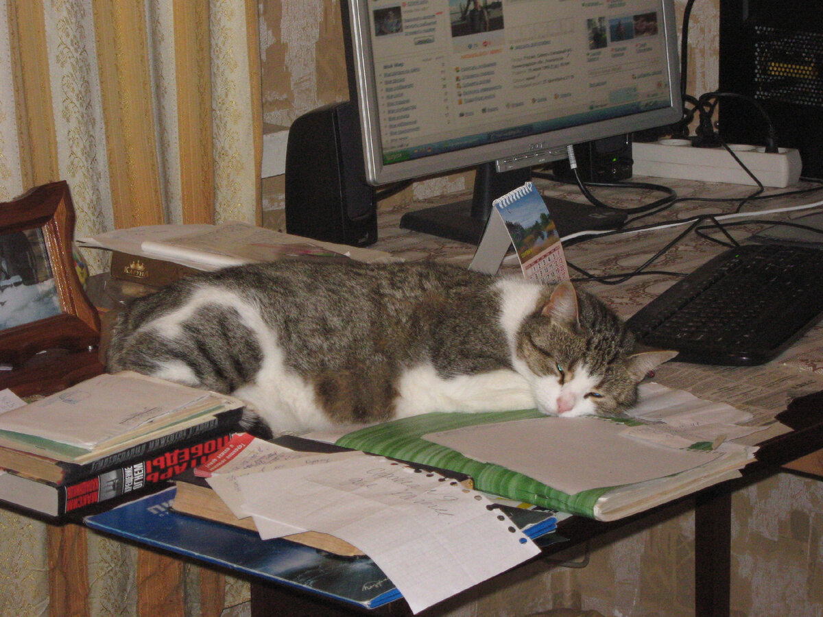 После сытного обеда на хозяйском столе. Фото мое.