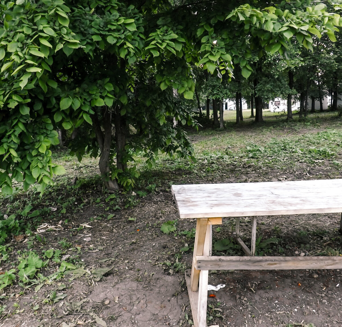 Личное фото