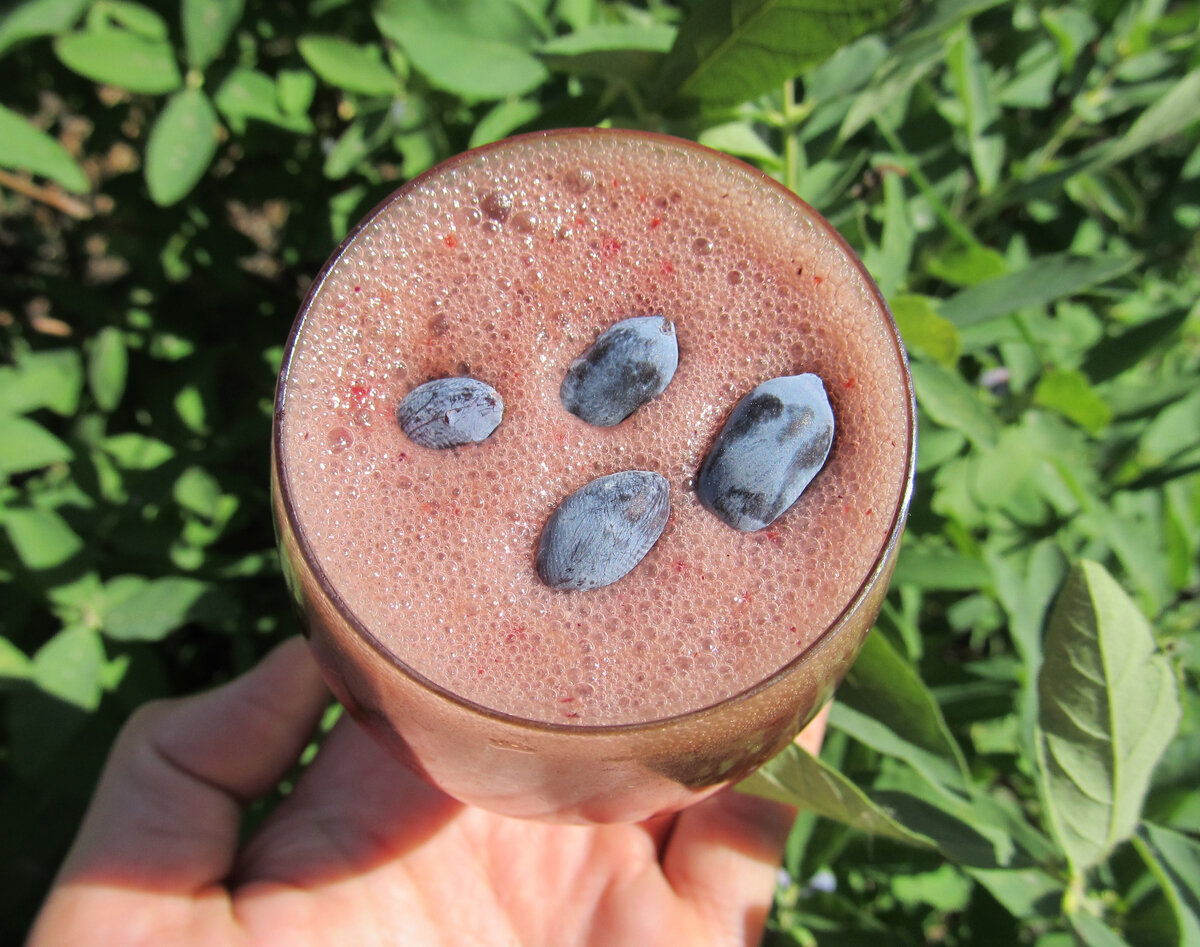 Молодильный смузи из жимолости