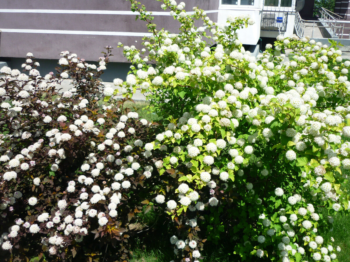 Тёмное прошлого можно перевести в Светлое настоящего!                             Фото автора