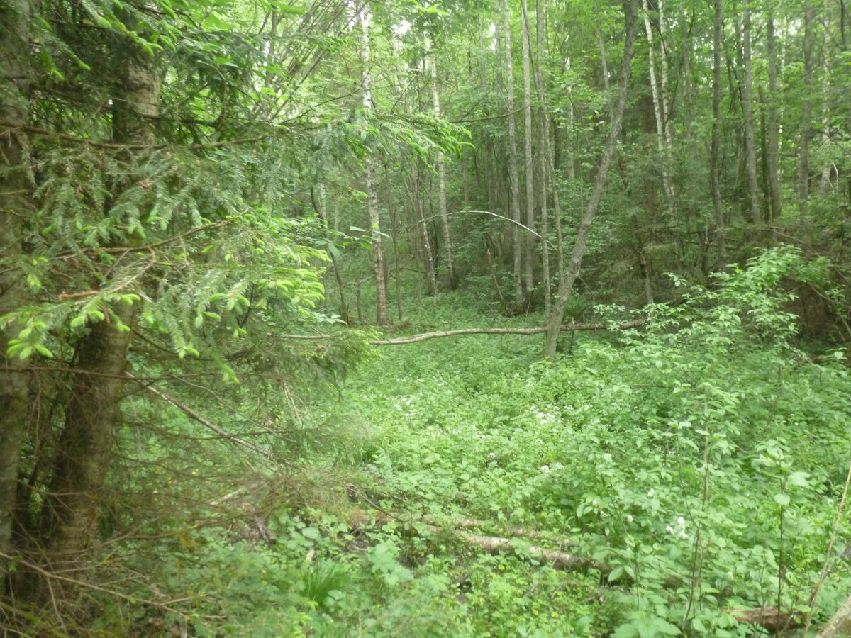 Вот так выглядит эта "река".