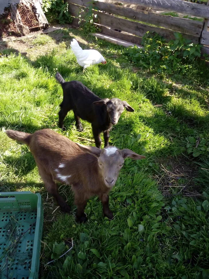 Личное фото