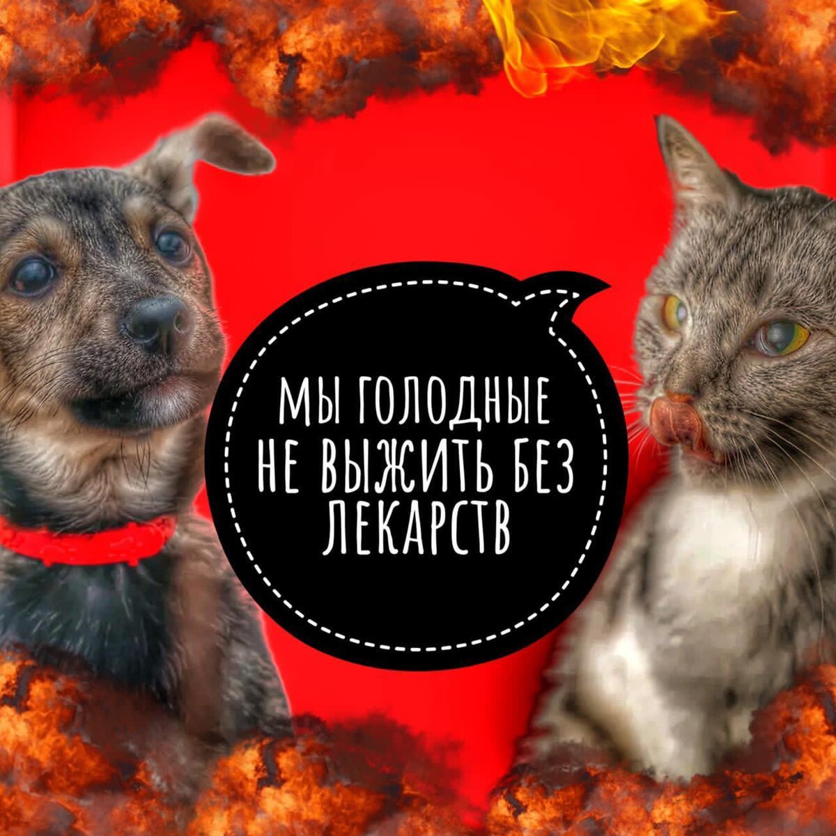 Прию нуждается в помощи