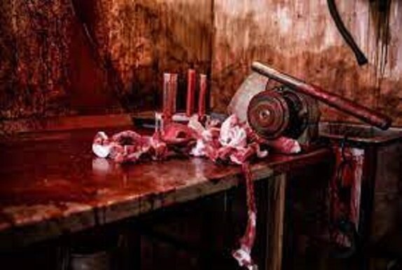 Старый добрый инет всегда предоставит нужную картинку