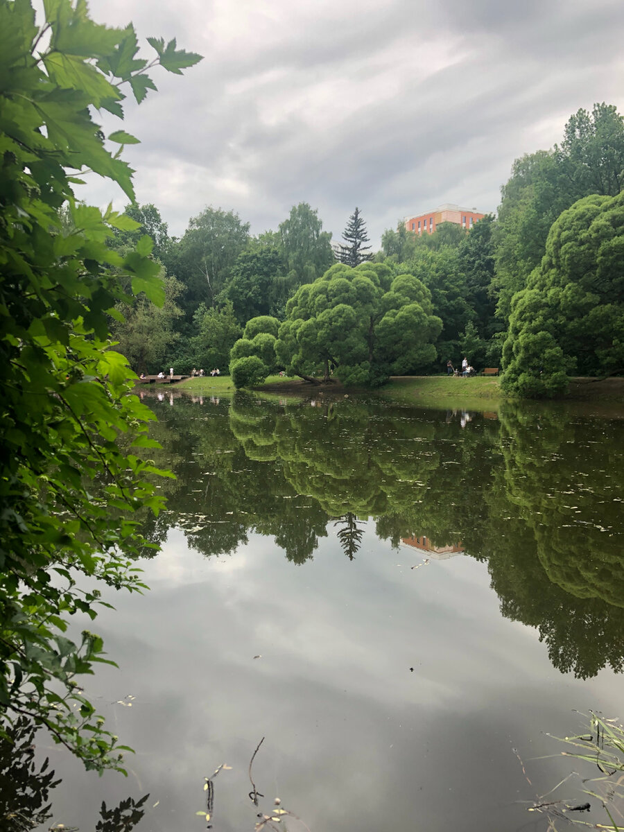 суворовский парк кунцево